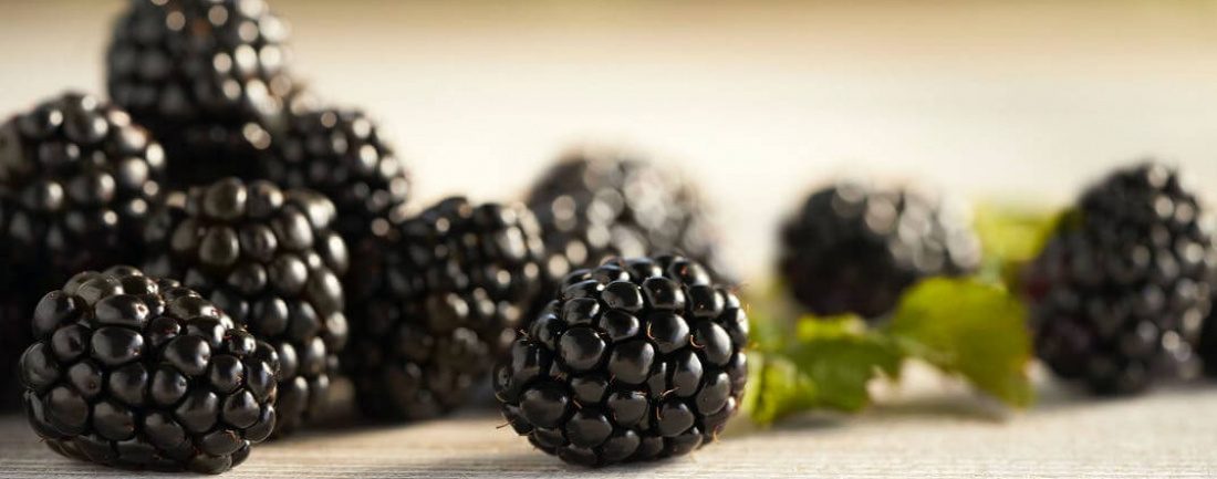 Blackberries - The #1 sweetest