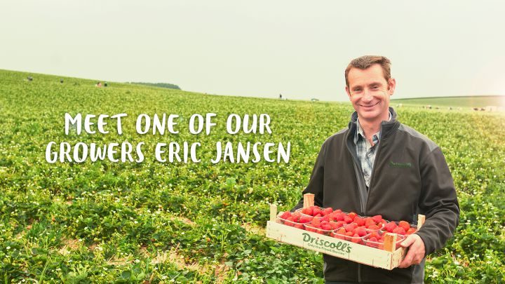 Driscolls Eric Jansen grower