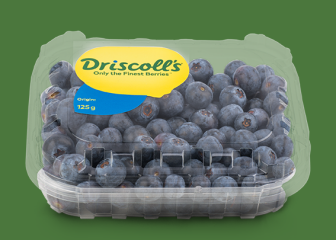 Blueberry Driscoll's 